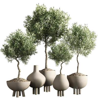 现代绿植盆栽组合-2